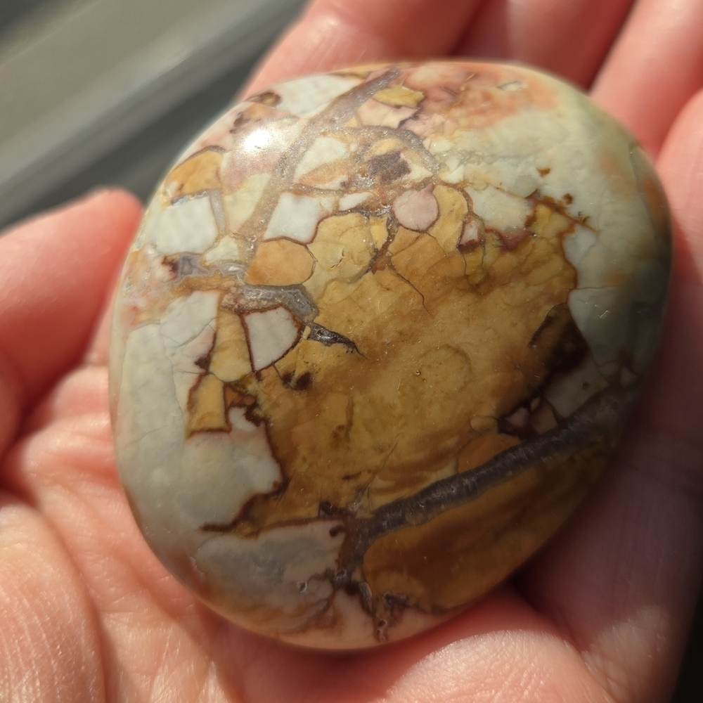 Ibis Jasper Palm Stone